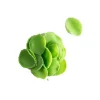 Dobla Chocoladedecoratie Blaadjes Mini Groen (1kg)