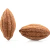 Dobla Chocoladedecoratie Cacaoboon (20 stuks)