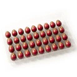 Dobla Chocoladedecoratie Roodborstje (36 stuks)**