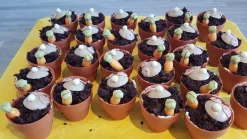 Dobla Chocoladedecoratie Bloempot Large (28 stuks)