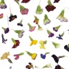 Eetbare Gedroogde Primula (50 stuks)