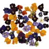 Eetbare Gedroogde Viooltjes (50 stuks)
