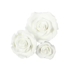 Fondant Rozen Wit Assortiment 12 stuks