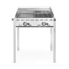 Hendi Green Fire 2 branders incl. bakplaat + GN 1/1 rooster