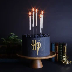 PME Harry Potter Drijvende Kaarsen Set/5