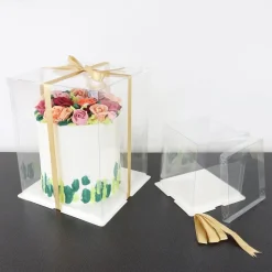 PME Taartdoos Transparant 25x25x28cm
