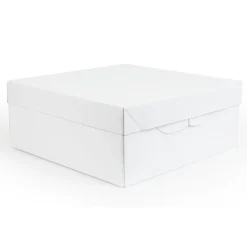 PME Taartdoos 45x45x15cm