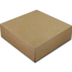 Taartdoos 21x21x8cm. Kraft 50st