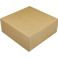 Taartdoos 25x25x10cm. Kraft 3st