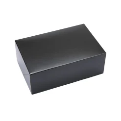 Taartdoos 24x16x9cm Zwart